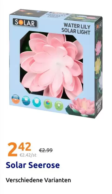 Water Lily Solar Light