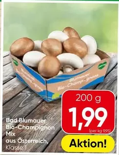 Bio - -Champignon Mix