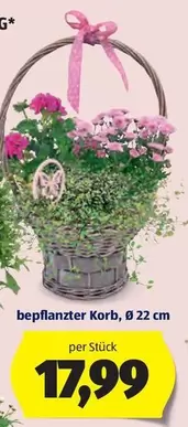 bepflanzter Korb