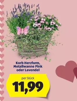 Pink - Korb Herzform, Metallwanne  oder Lavendel