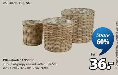 Pflanzkorb SANSEBIE
