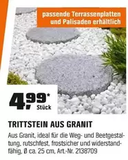 TRITTSTEIN AUS GRANIT
