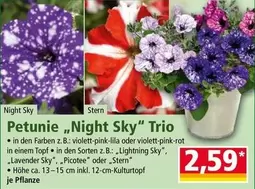 Sky - Petunie "Night " Trio