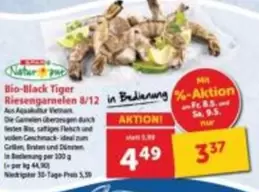 Tiger - Bio-Black  Riesen Garnelen 8/12