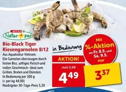 Tiger - Bio-Black  Riesen Garnelen 8/12