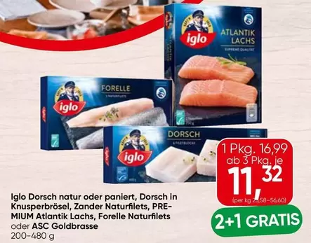 Zander - Dorsch natur oder paniert, Dorsch in Knusperbrösel,  Naturfilets, PREMIUM Atlantik Lachs, Forelle Naturfilets