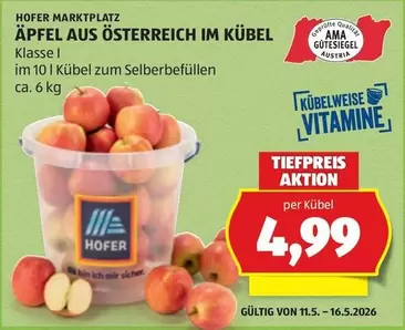 Ama - Äpfel aus Österreich im Kübel