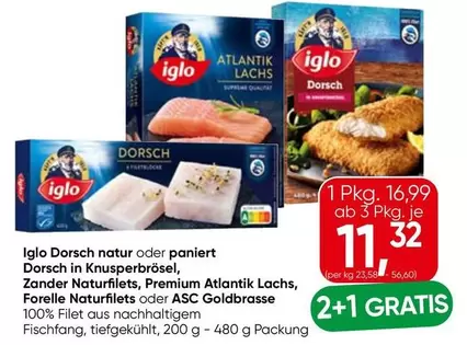 Zander - Dorsch natur oder paniert, Dorsch in Knusperbrösel,  Naturfilets, Premium Atlantik Lachs, Forelle Naturfilets oder ASC Goldbrasse