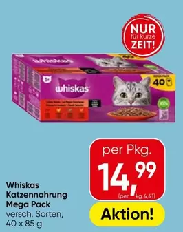 Katzennahrung Mega Pack