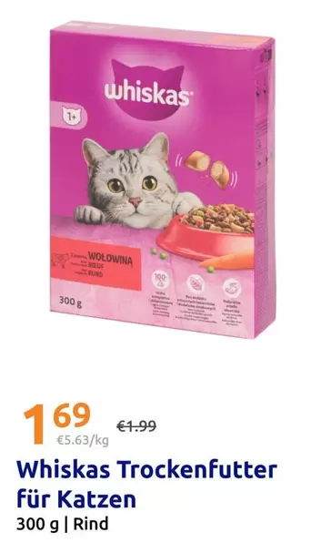 Trockenfutter für Katzen
