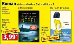 Wolf - Ostfriesen Nebel