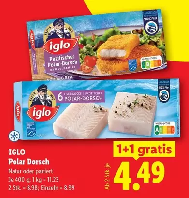 Polar - Dorsch