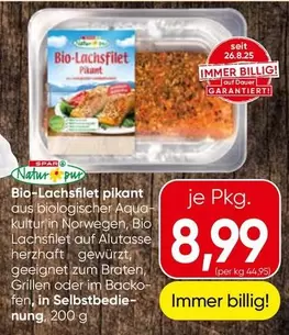 Bio - -Lachsfilet pikant