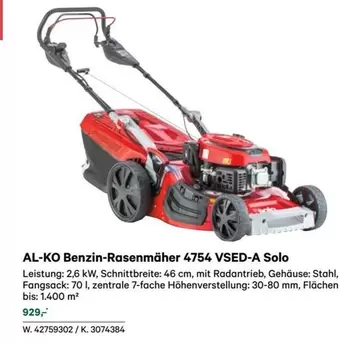 Benzin-Rasenmäher 4754 VSED-A