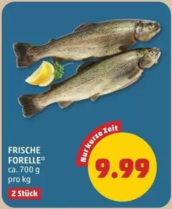 FRISCHE FORELLE
