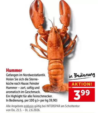 Hummer -
