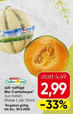 Bio-Cantaloupe