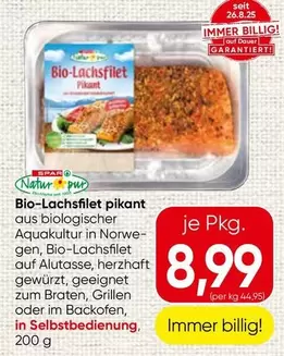 Bio-Lachsfilet pikant