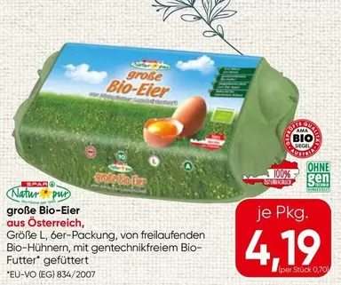 Bio - Große -Eier