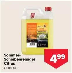 Sommer-Scheibenreiniger Citrus