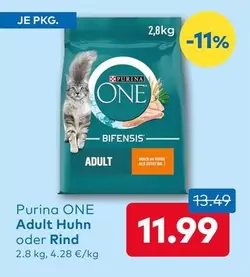 Adult Huhn oder Rind