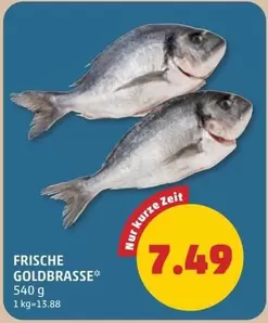 FRISCHE GOLDBRASSE*