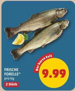 Frische Forelle