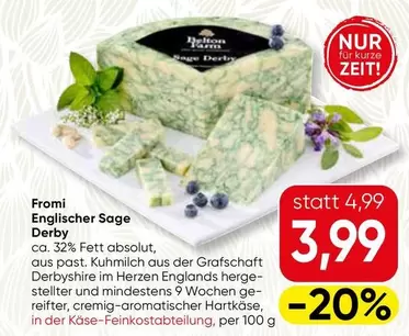Englischer Sage Derby