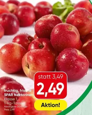 SPAR Nektarinen