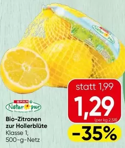 Bio-Zitronen zur Hollerblüte