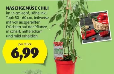 NASCHGEMÜSE CHILI