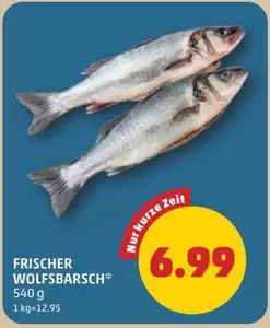 FRISCHER WOLFBARSCH*