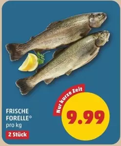 FORELLE
