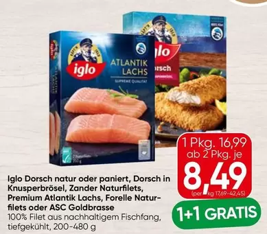 Supreme - Dorsch natur oder paniert, Dorsch in Knusperbrösel, Zander Naturfilets, Premium Atlantik Lachs, Forelle Naturfilets oder ASC Goldbrasse