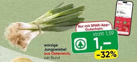 Jungzwiebel