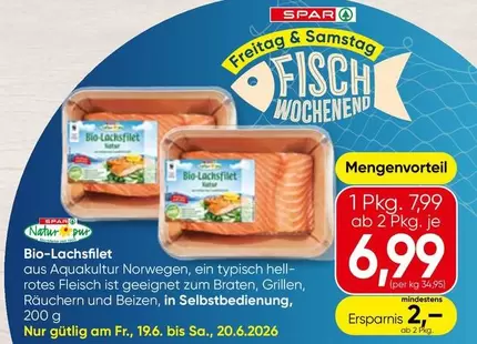 Bio-Lachsfilet