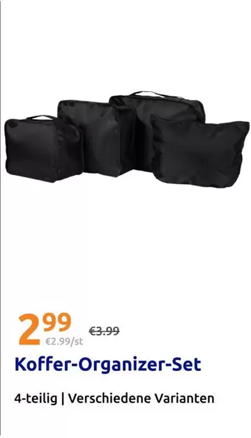 Koffer-Organizer-Set