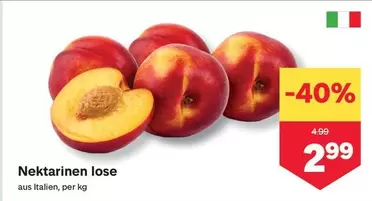 Nektarinen lose
