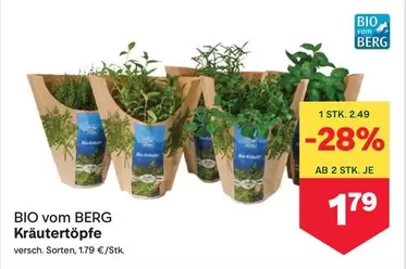 Bio - Kräutertöpfe