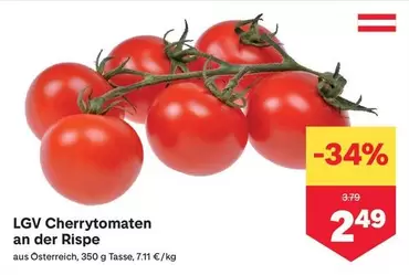 LGV Cherrytomaten an der Rispe