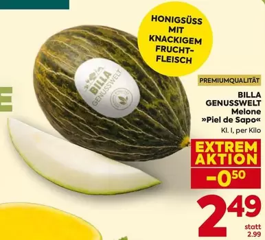 Melone »Piel de Sapo«