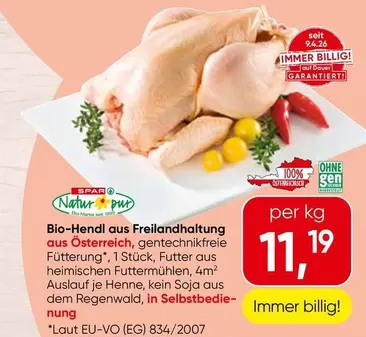 Bio-Hendl aus Freilandhaltung