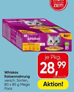 Katzennahrung