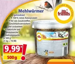 Friends - Mehlwürmer