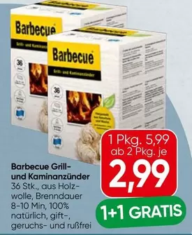 Barbecue Grill- und Kaminanzünder