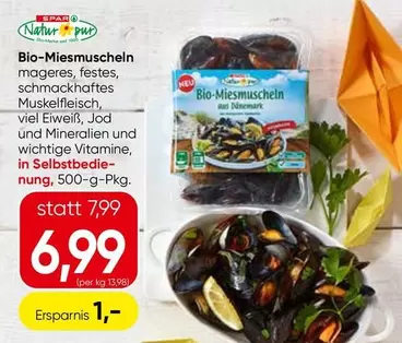 Bio-Miesmuscheln