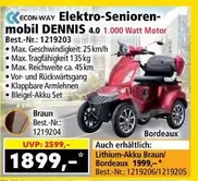 Bordeaux - Elektro-Seniorenmobil DENNIS 4.0