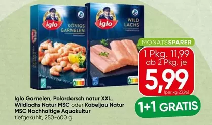 Iglo Garnelen, Polar dorsch natur XXL, Wildlachs Natur MSC oder Kabeljau Natur MSC Nachhaltige Aquakultur tiefgekühlt