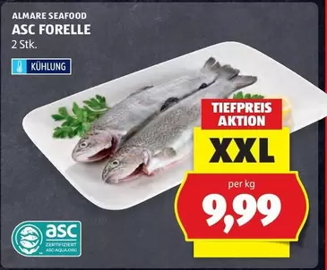 ASC FORELLE