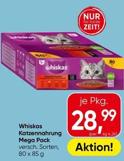 Katzennahrung Mega Pack